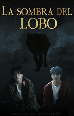 《La sombra del lobo》kookmin