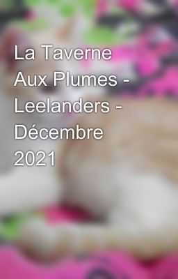 La Taverne Aux Plumes - Leelanders - Décembre 2021