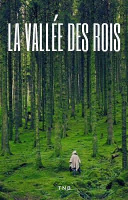 La vallée des rois