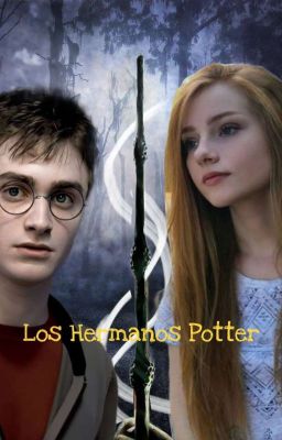 La Vida de los Hermanos Potter