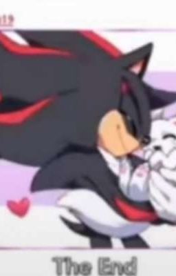 La vida de shadow y su gato