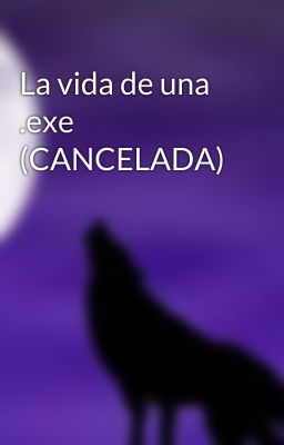 La vida de una .exe (CANCELADA)