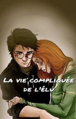 La vie compliquée de l'Élu [Réécris]