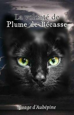 La volonté de Plume de Bécasse