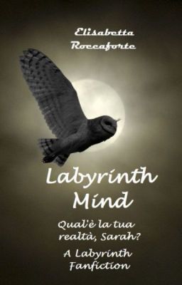 Labyrinth Mind (in revisione COMPLETA)