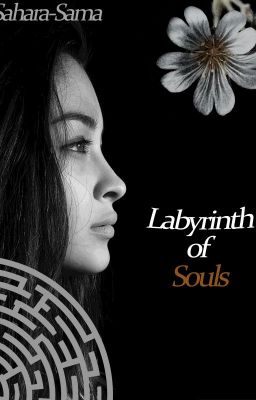 Labyrinth of Souls