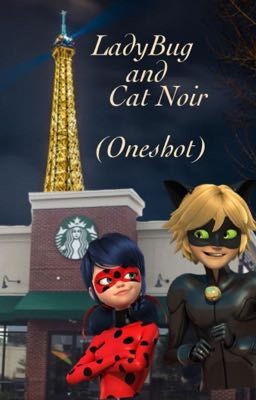 LadyBug and Cat Noir