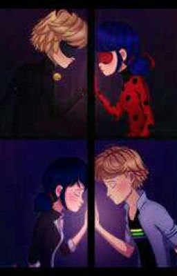 Ladybug And Chat Noir Love