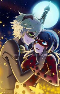 [Ladybug x Chatnoir] Em chỉ là của riêng tôi thôi, M'Lady. (Tạm DROP)