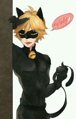 LadyNoir (Smut)