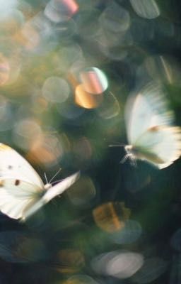 Lạnh Nhạt | Onran 