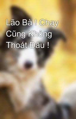 Lão Bà ! Chạy Cũng Không Thoát Đâu !