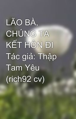 LÃO BÀ, CHÚNG TA KẾT HÔN ĐI Tác giả: Thập Tam Yêu (rich92 cv)