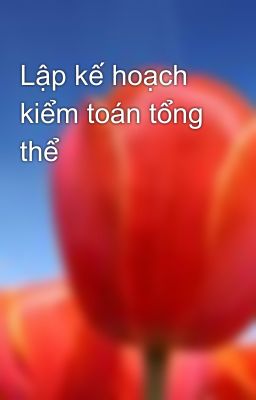 Lập kế hoạch kiểm toán tổng thể