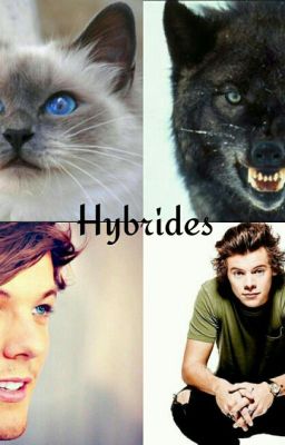 {Larry} Hybride (Terminée)// En Correction