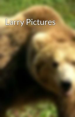 Larry Pictures