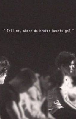 Larry Vietnamese Fanfic - Where do broken hearts go?