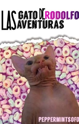 Las gato aventuras de Rodolfo