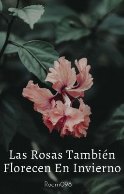 Las Rosas También Florecen En Invierno