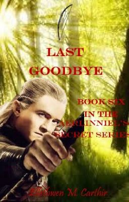 Last Goodbye (Book Six in the Aerlinniel's Secret Series)