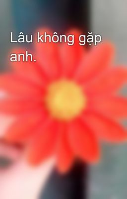 Lâu không gặp anh.