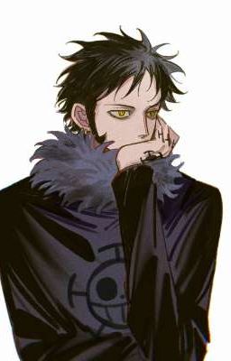 lawcora - mộng thực