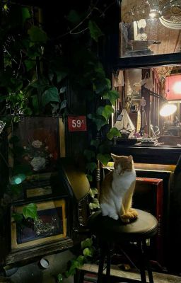 [ LCK ] (textfic) • Hồ Sơ 417 •