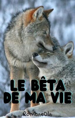 Le Bêta de ma vie