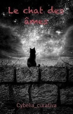 Le chat des âmes 