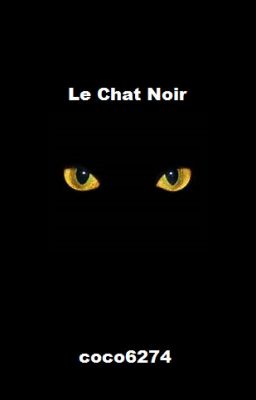 Le Chat Noir