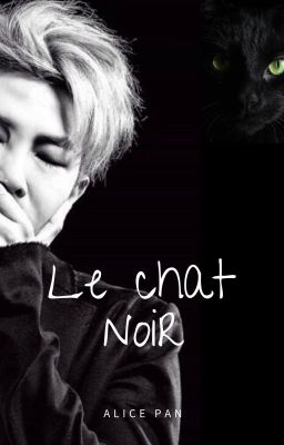 Le Chat Noir [BTS - TERMINEE]