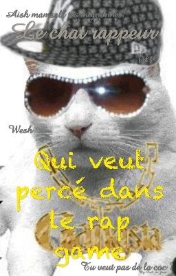 le chat-rappeur qui veut percé