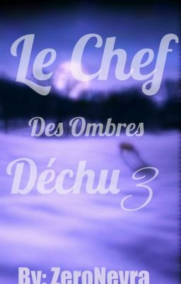 Le Chef des Ombres Déchu 3