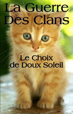 Le choix de Doux Soleil