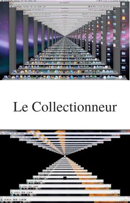 Le Collectionneur