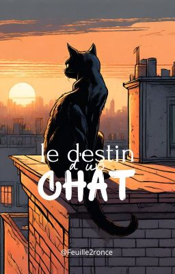 Le destin d'un chat | cycle 1 - tome 1 | En solitaire