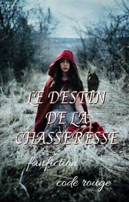 Le destin de la Chasseresse (EN PAUSE)