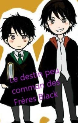 Le destin peu commun des Frères Black