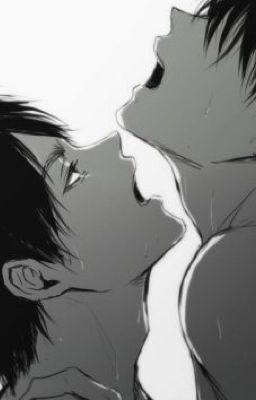 Le Fangirl - Os Ereri ( En réécriture ) 