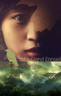 Le Grand Conseil, Tome 1. Emiko Wakahisa