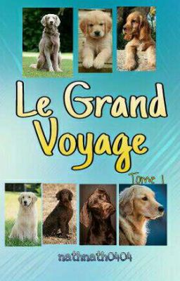 Le grand voyage 