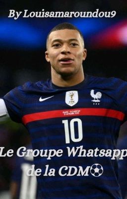 {◇Le Groupe Whatsapp de la CDM⚽️