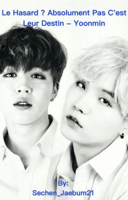 Le hasard ? Absolument pas, c'est leur destin - Yoonmin