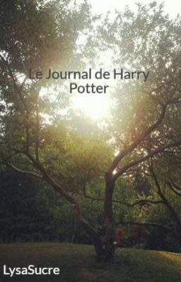 Le Journal de Harry Potter