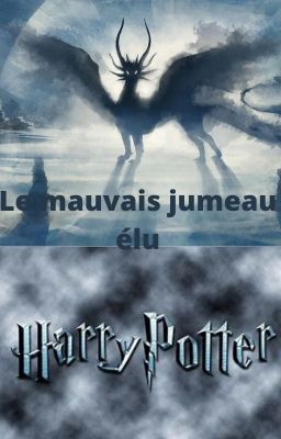 Le mauvais jumeau élu