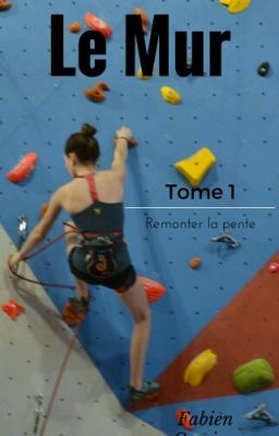 Le Mur tome 1 : Remonter la pente