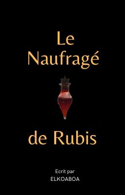 Le Naufragé de Rubis