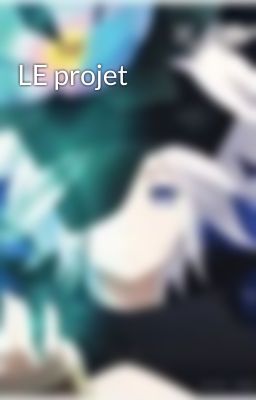 LE projet