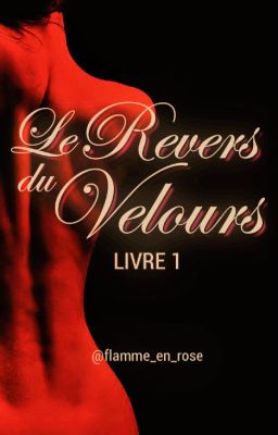 Le Revers du Velours [LIVRE 1]