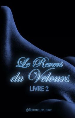 Le Revers du Velours [LIVRE 2]